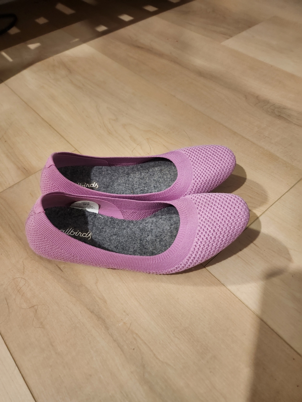 allbirds Tree Breezers